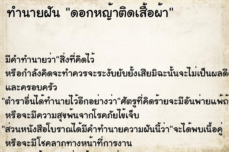 ทำนายฝัน ดอกหญ้าติดเสื้อผ้า ทำนายฝัน ดอกหญ้าติดเสื้อผ้า