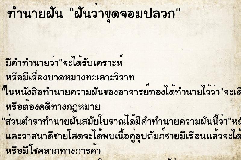 ทำนายฝัน ฝันว่าขุดจอมปลวก ทำนายฝัน ฝันว่าขุดจอมปลวก
