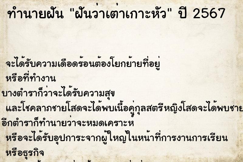 ทำนายฝันทำนายฝันฝันว่าเต่าเกาะหัว