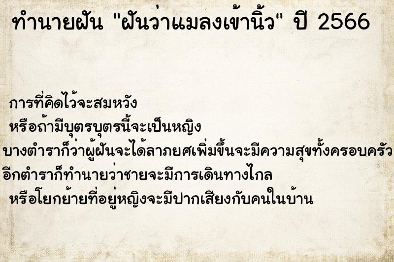 ทำนายฝันฝันว่าแมลงเข้านิ้ว ทำนายฝันทำนายฝันฝันว่าแมลงเข้านิ้ว
