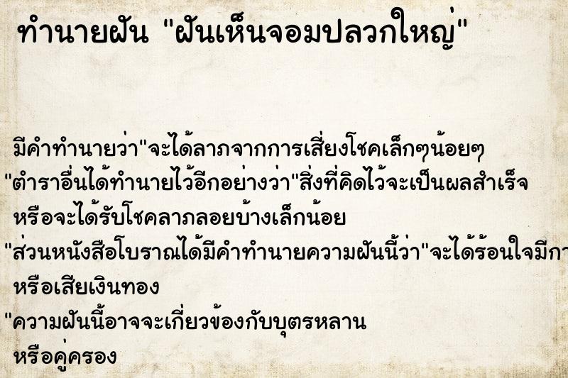 ทำนายฝันทำนายฝันฝันเห็นจอมปลวกใหญ่