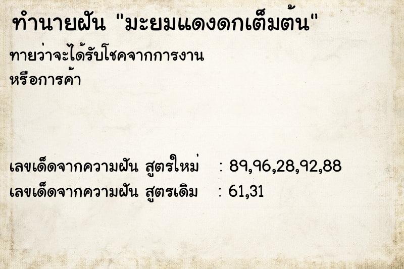 ทำนายฝัน มะยมแดงดกเต็มต้น ทำนายฝัน มะยมแดงดกเต็มต้น