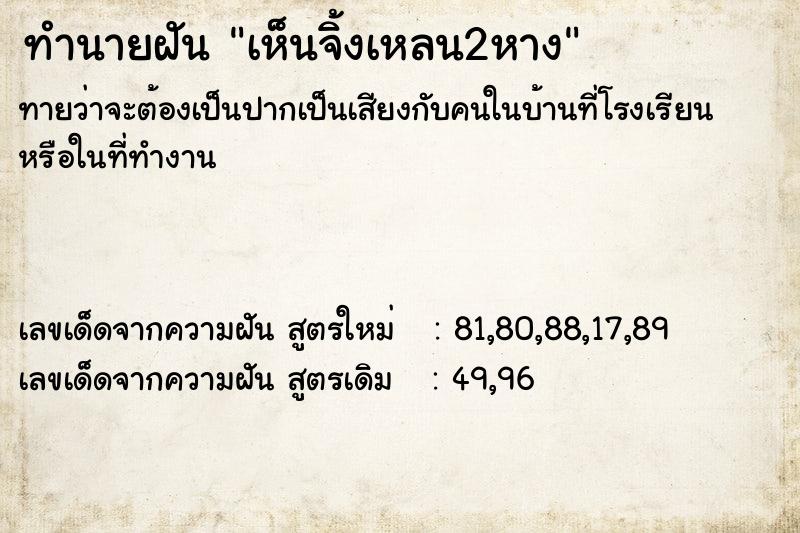 ทำนายฝันเห็นจิ้งเหลน2หาง ทำนายฝันทำนายฝันเห็นจิ้งเหลน2หาง