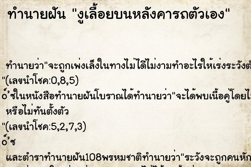ทำนายฝัน งูเลื้อยบนหลังคารถตัวเอง ทำนายฝัน งูเลื้อยบนหลังคารถตัวเอง