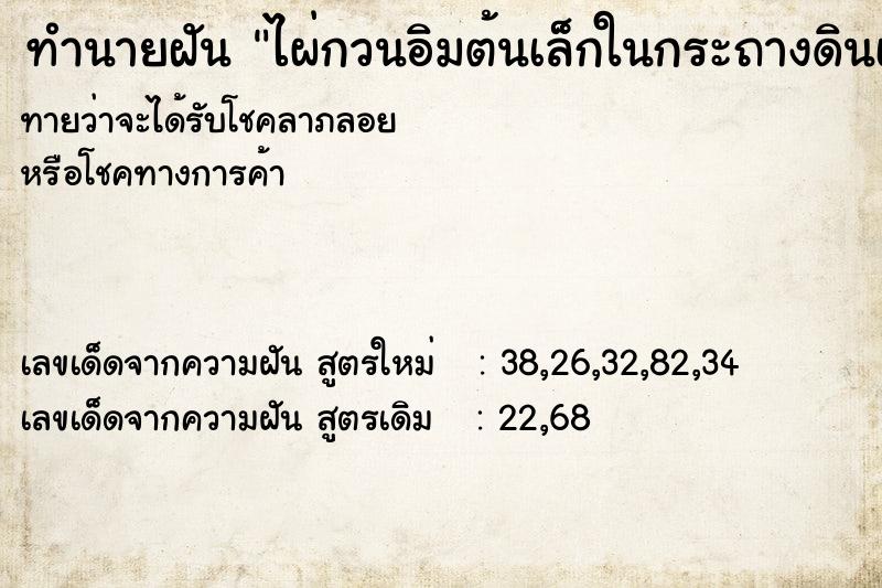 ทำนายฝันทำนายฝันไผ่กวนอิมต้นเล็กในกระถางดินเผา