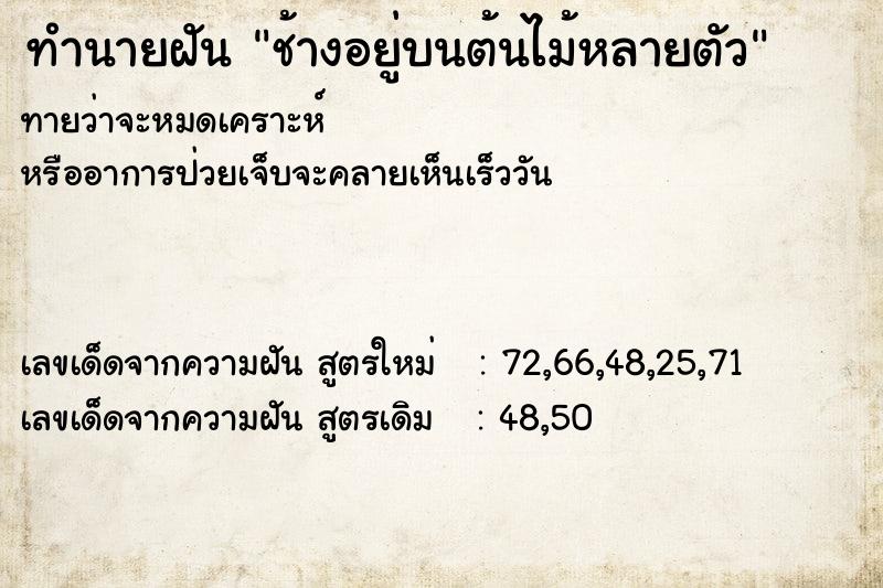 ทำนายฝันทำนายฝันช้างอยู่บนต้นไม้หลายตัว