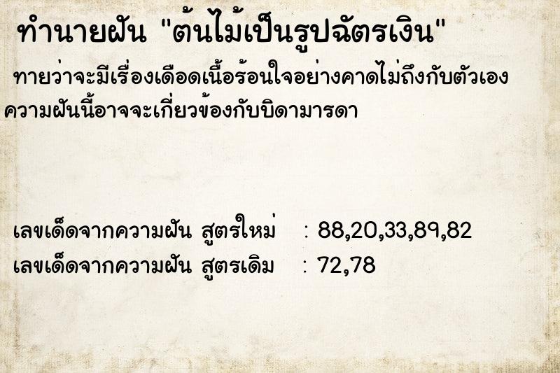 ทำนายฝันต้นไม้เป็นรูปฉัตรเงิน ทำนายฝันทำนายฝันต้นไม้เป็นรูปฉัตรเงิน