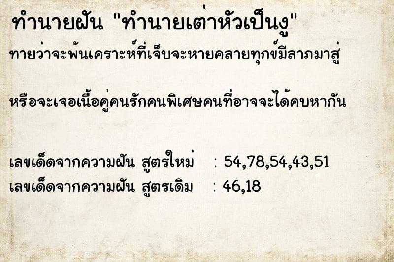 ทำนายฝันทำนายเต่าหัวเป็นงู ทำนายฝันทำนายฝันทำนายเต่าหัวเป็นงู