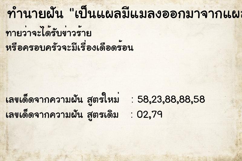 ทำนายฝันทำนายฝันเป็นแผลมีแมลงออกมาจากแผล