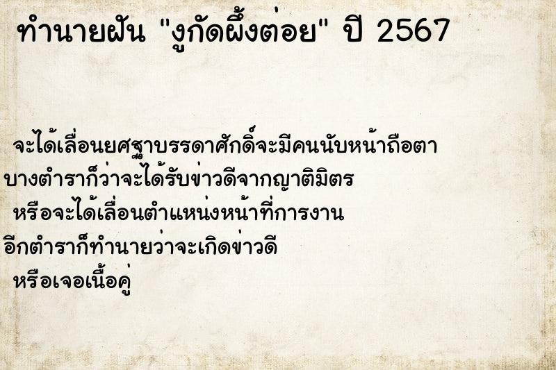 ทำนายฝันงูกัดผึ้งต่อย ทำนายฝันทำนายฝันงูกัดผึ้งต่อย