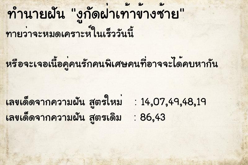 ทำนายฝันงูกัดฝ่าเท้าข้างซ้าย ทำนายฝันทำนายฝันงูกัดฝ่าเท้าข้างซ้าย