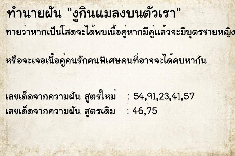 ทำนายฝันงูกินแมลงบนตัวเรา ทำนายฝันทำนายฝันงูกินแมลงบนตัวเรา