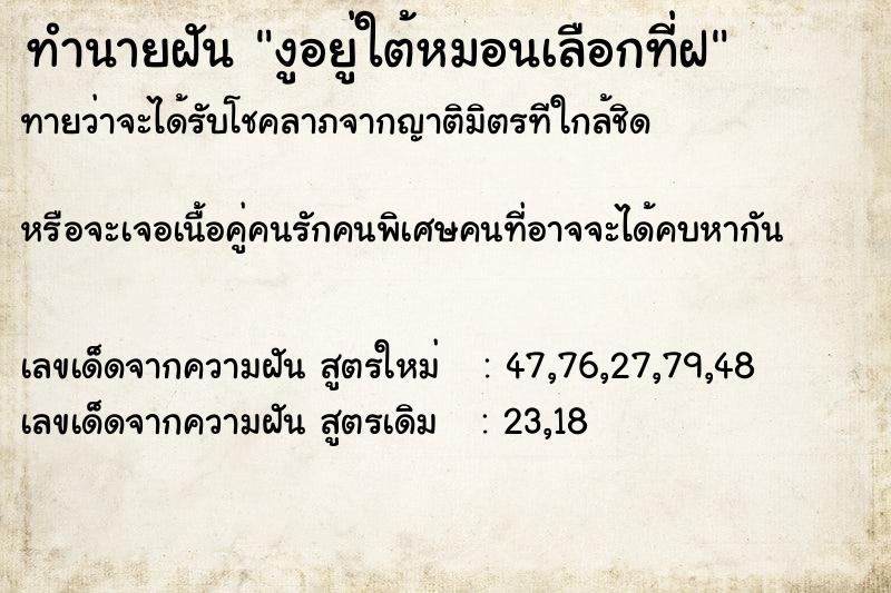 ทำนายฝันงูอยู่ใต้หมอนเลือกที่ฝ ทำนายฝันทำนายฝันงูอยู่ใต้หมอนเลือกที่ฝ