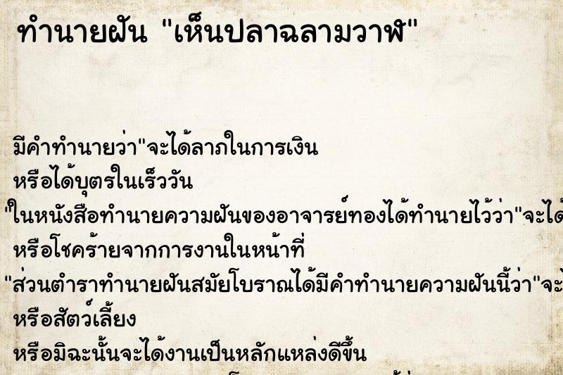 ทำนายฝัน เห็นปลาฉลามวาฬ ทำนายฝัน เห็นปลาฉลามวาฬ