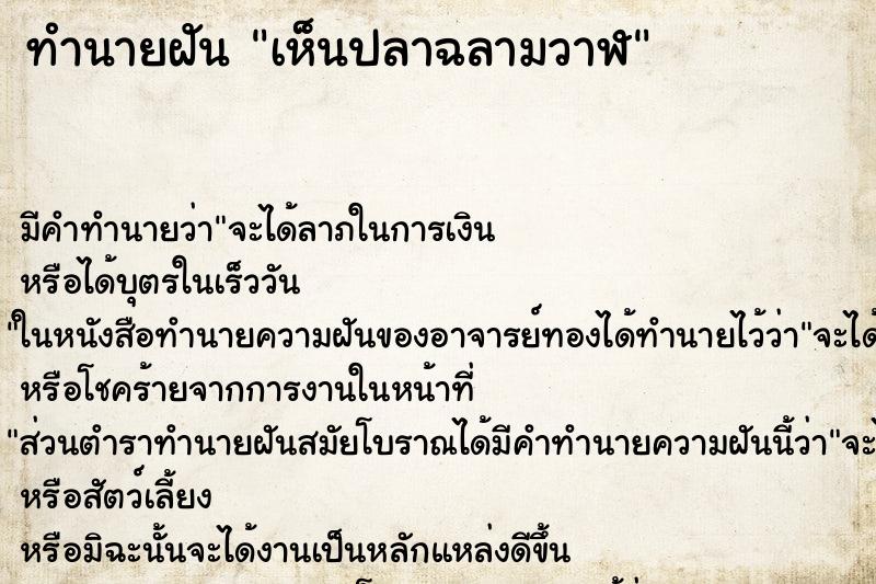 ทำนายฝัน เห็นปลาฉลามวาฬ ตำราโบราณ แม่นที่สุดในโลก