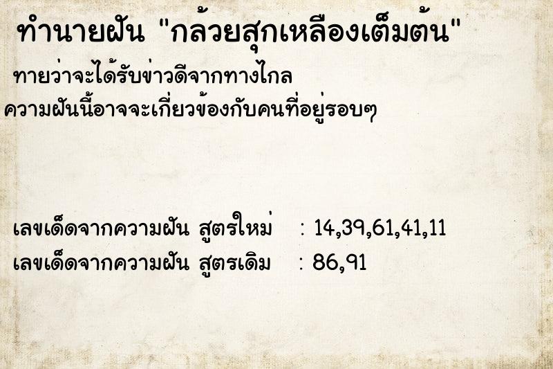 ทำนายฝัน กล้วยสุกเหลืองเต็มต้น ทำนายฝัน กล้วยสุกเหลืองเต็มต้น