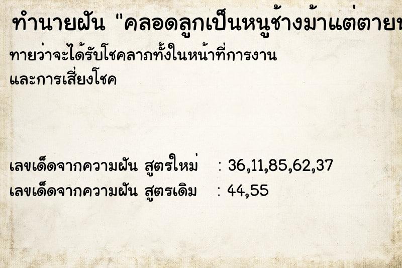 ทำนายฝันทำนายฝันคลอดลูกเป็นหนูช้างม้าแต่ตายหมด