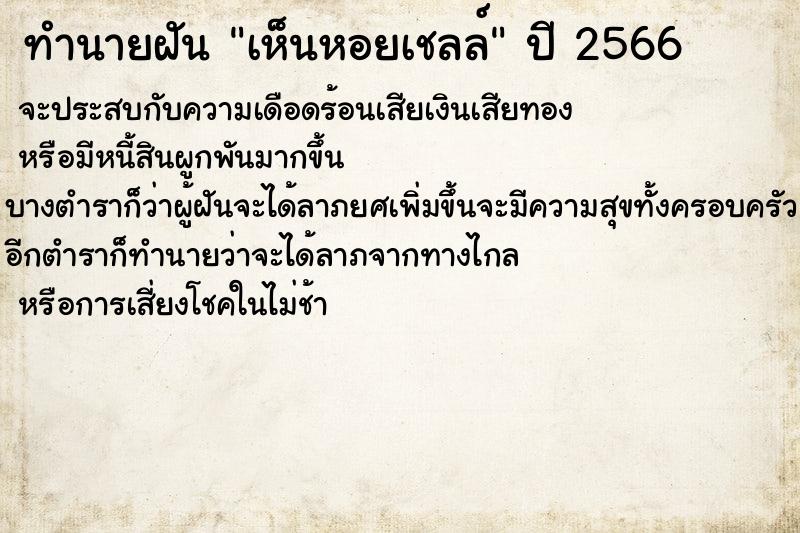 ทำนายฝัน เห็นหอยเชลล์ ทำนายฝัน เห็นหอยเชลล์