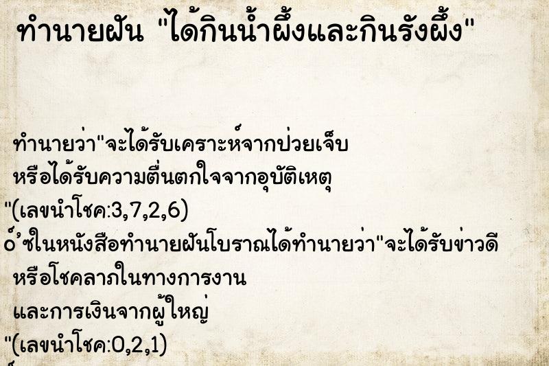 ทำนายฝัน ได้กินน้ำผึ้งและกินรังผึ้ง ทำนายฝัน ได้กินน้ำผึ้งและกินรังผึ้ง