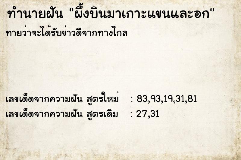 ทำนายฝันผึ้งบินมาเกาะแขนและอก ทำนายฝันทำนายฝันผึ้งบินมาเกาะแขนและอก