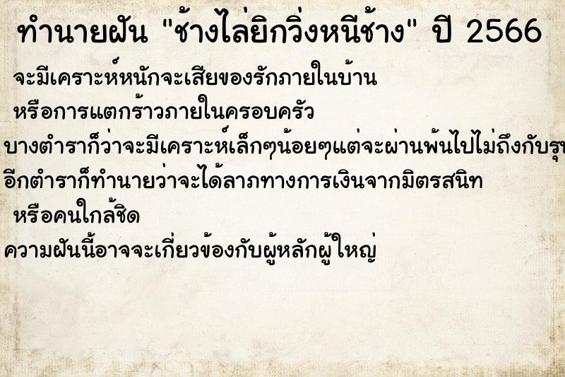 ทำนายฝันช้างไล่ยิกวิ่งหนีช้าง ทำนายฝันทำนายฝันช้างไล่ยิกวิ่งหนีช้าง