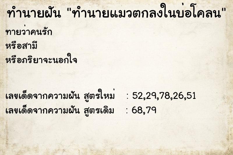 ทำนายฝันทำนายแมวตกลงในบ่อโคลน ทำนายฝันทำนายฝันทำนายแมวตกลงในบ่อโคลน