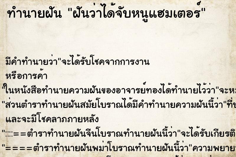 ทำนายฝัน ฝันว่าได้จับหนูแฮมเตอร์ ทำนายฝัน ฝันว่าได้จับหนูแฮมเตอร์