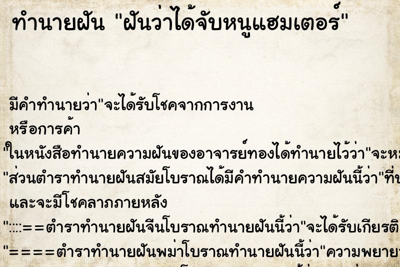 ทำนายฝัน ฝันว่าได้จับหนูแฮมเตอร์ ตำราโบราณ แม่นที่สุดในโลก