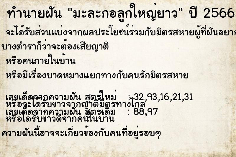 ทำนายฝัน มะละกอลูกใหญ่ยาว ทำนายฝัน มะละกอลูกใหญ่ยาว