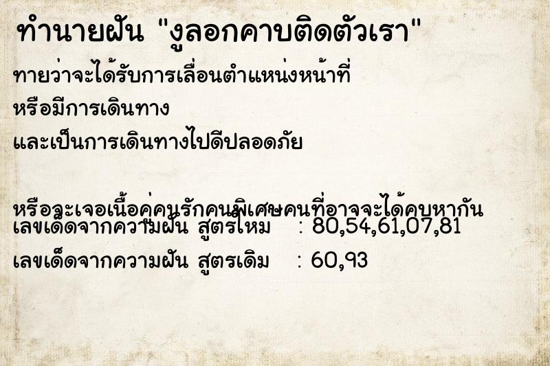 ทำนายฝันทำนายฝันงูลอกคาบติดตัวเรา