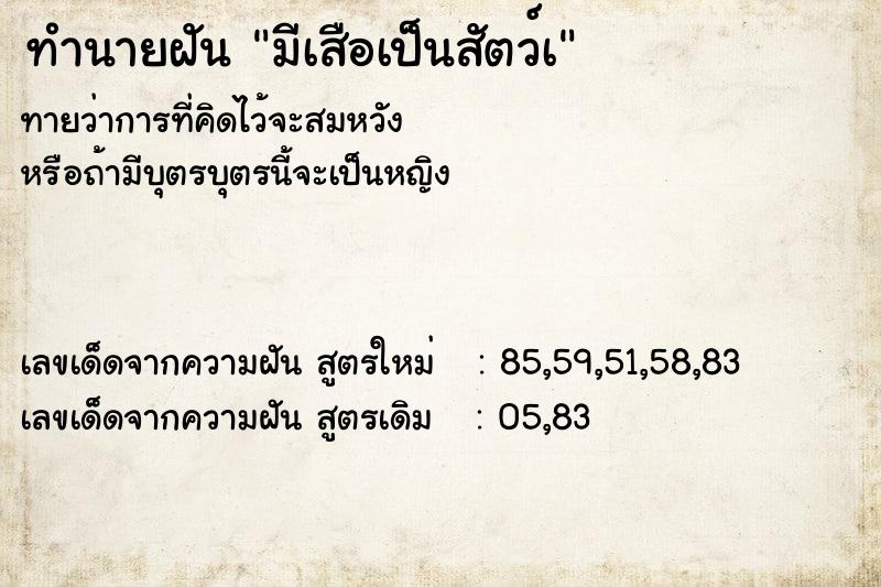 ทำนายฝันทำนายฝันมีเสือเป็นสัตว์เ