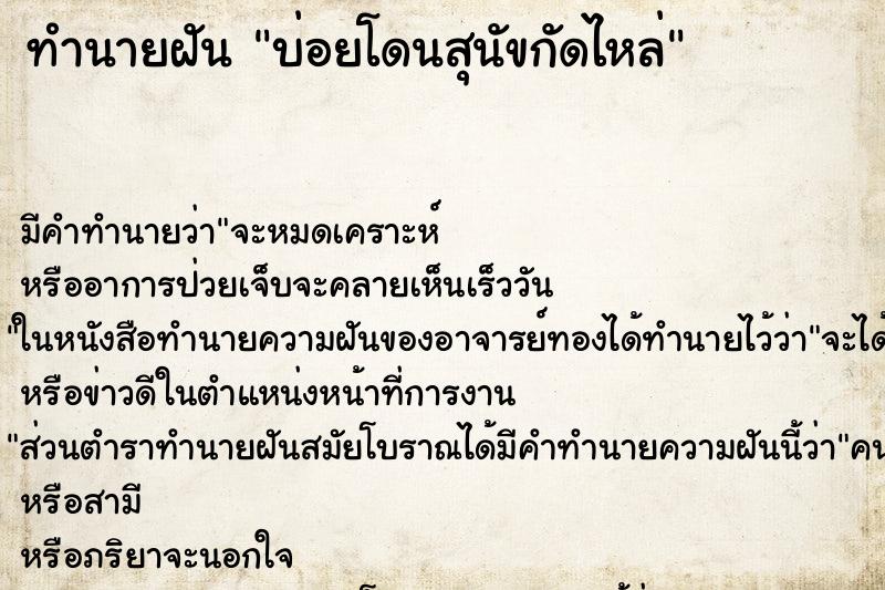 ทำนายฝันทำนายฝันบ่อยโดนสุนัขกัดไหล่