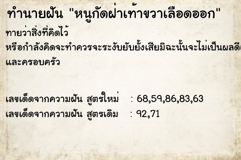 ทำนายฝันหนูกัดฝ่าเท้าขวาเลือดออก ทำนายฝันทำนายฝันหนูกัดฝ่าเท้าขวาเลือดออก