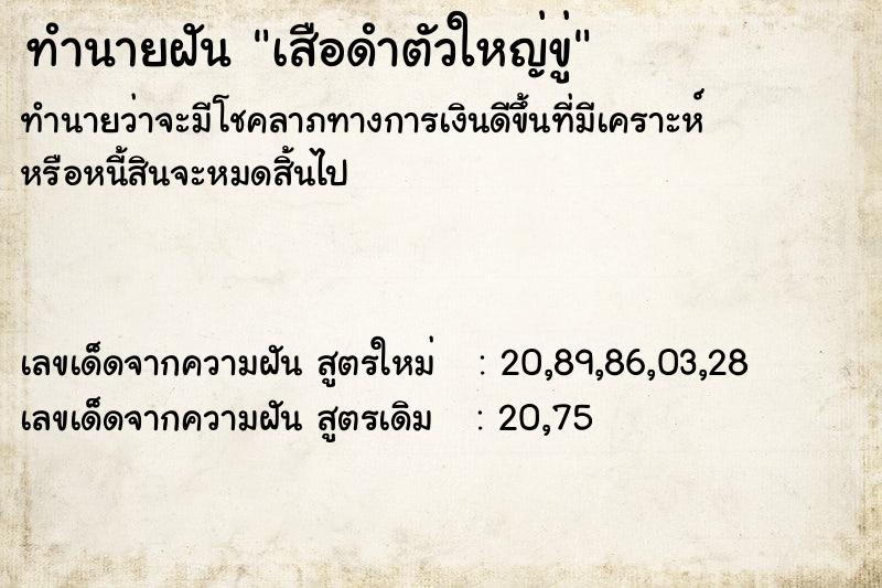ทำนายฝันทำนายฝันเสือดำตัวใหญ่ขู่