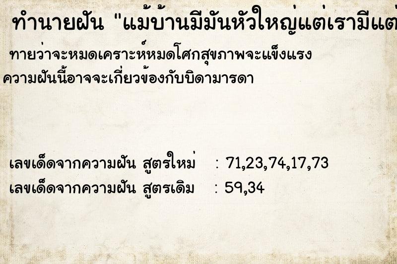 ทำนายฝันทำนายฝันแม้บ้านมีมันหัวใหญ่แต่เรามีแต่มันหัวเล็ก