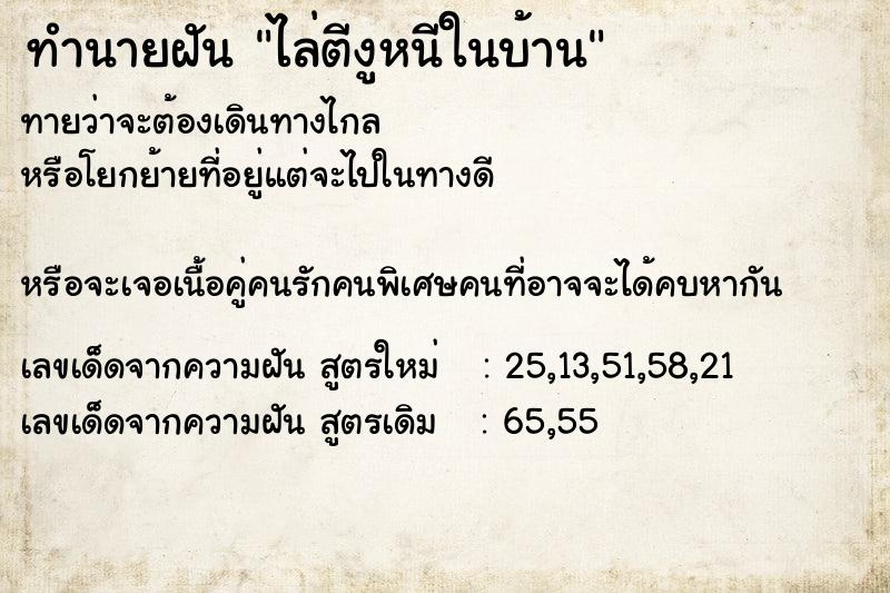 ทำนายฝันทำนายฝันไล่ตีงูหนีในบ้าน