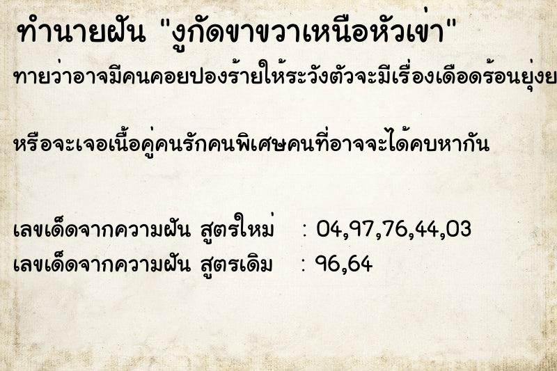 ทำนายฝัน งูกัดขาขวาเหนือหัวเข่า ทำนายฝัน งูกัดขาขวาเหนือหัวเข่า