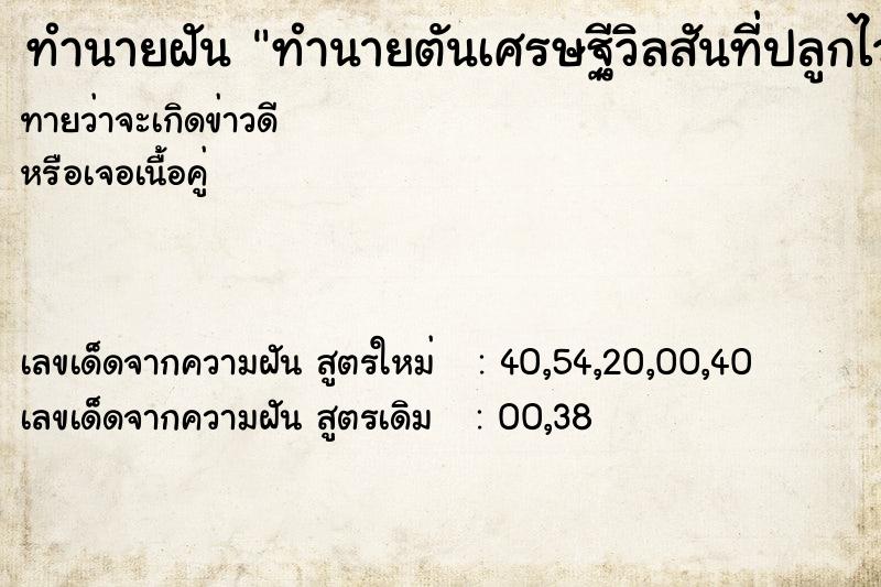 ทำนายฝันทำนายตันเศรษฐีวิลสันที่ปลูกไว้โดนตัดไป1ใบ ทำนายฝันทำนายฝันทำนายตันเศรษฐีวิลสันที่ปลูกไว้โดนตัดไป1ใบ