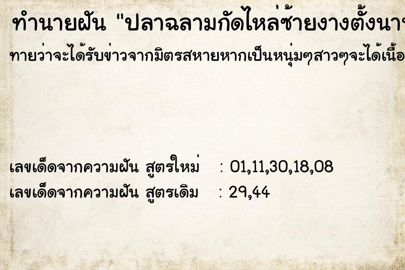 ทำนายฝันปลาฉลามกัดไหล่ซ้ายงางตั้งนานกว่าจะออก ทำนายฝันทำนายฝันปลาฉลามกัดไหล่ซ้ายงางตั้งนานกว่าจะออก