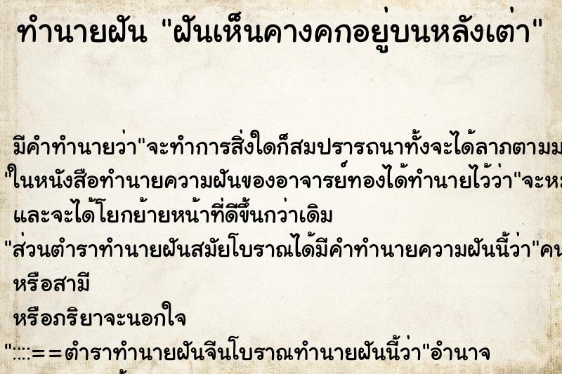 ทำนายฝันทำนายฝันฝันเห็นคางคกอยู่บนหลังเต่า