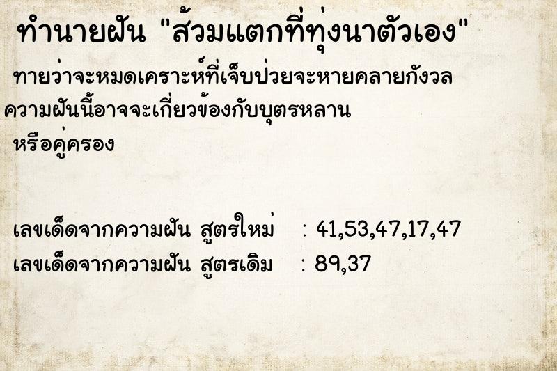 ทำนายฝันทำนายฝันส้วมแตกที่ทุ่งนาตัวเอง