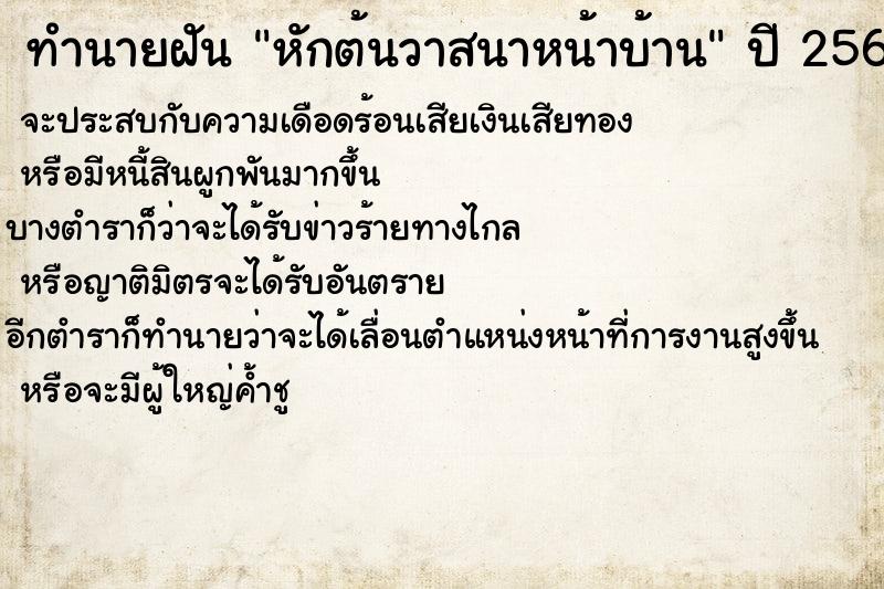 ทำนายฝันหักต้นวาสนาหน้าบ้าน ทำนายฝันทำนายฝันหักต้นวาสนาหน้าบ้าน