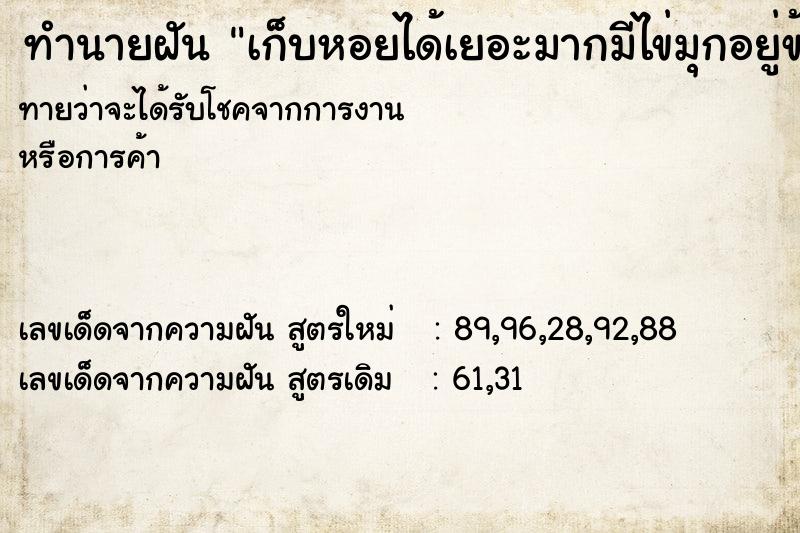 ทำนายฝันทำนายฝันเก็บหอยได้เยอะมากมีไข่มุกอยู่ข้างในหอย