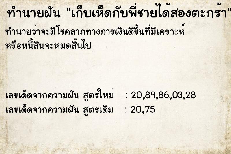 ทำนายฝันทำนายฝันเก็บเห็ดกับพี่ชายได้สองตะกร้า