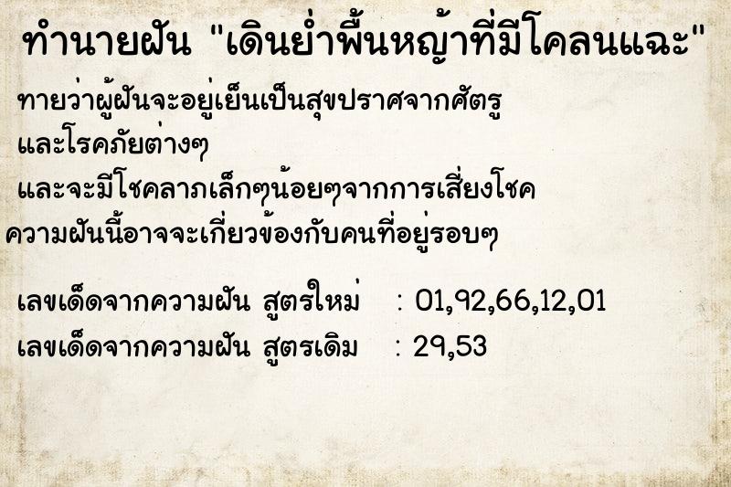 ทำนายฝันเดินย่ำพื้นหญ้าที่มีโคลนแฉะ ทำนายฝันทำนายฝันเดินย่ำพื้นหญ้าที่มีโคลนแฉะ