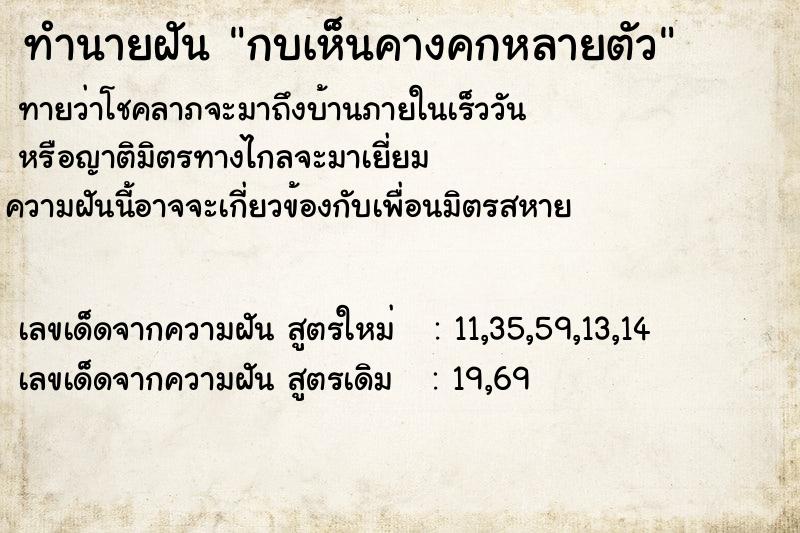 ทำนายฝันกบเห็นคางคกหลายตัว ทำนายฝันทำนายฝันกบเห็นคางคกหลายตัว