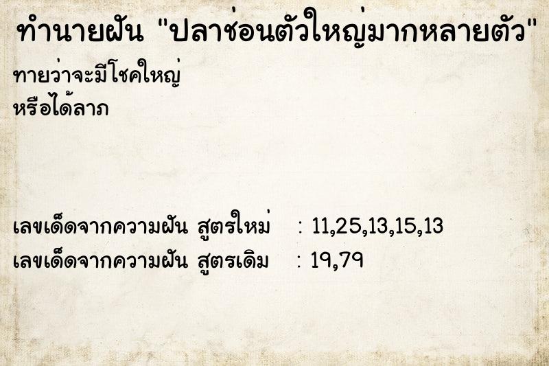 ทำนายฝันทำนายฝันปลาช่อนตัวใหญ่มากหลายตัว