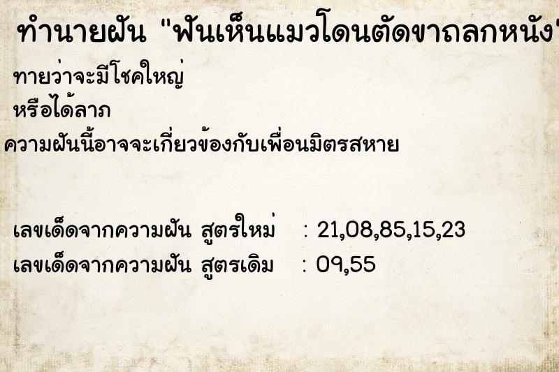 ทำนายฝันฟันเห็นแมวโดนตัดขาถลกหนัง ทำนายฝันทำนายฝันฟันเห็นแมวโดนตัดขาถลกหนัง