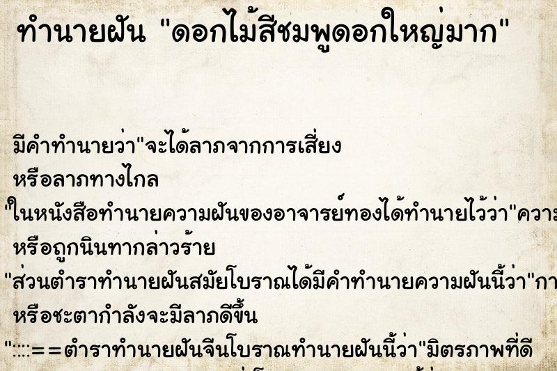 ทำนายฝัน ดอกไม้สีชมพูดอกใหญ่มาก ทำนายฝัน ดอกไม้สีชมพูดอกใหญ่มาก