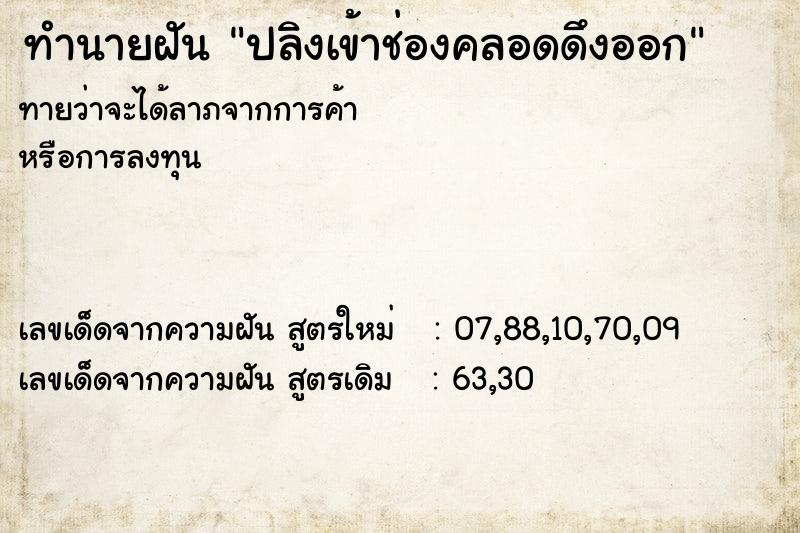 ทำนายฝันปลิงเข้าช่องคลอดดึงออก ทำนายฝันทำนายฝันปลิงเข้าช่องคลอดดึงออก